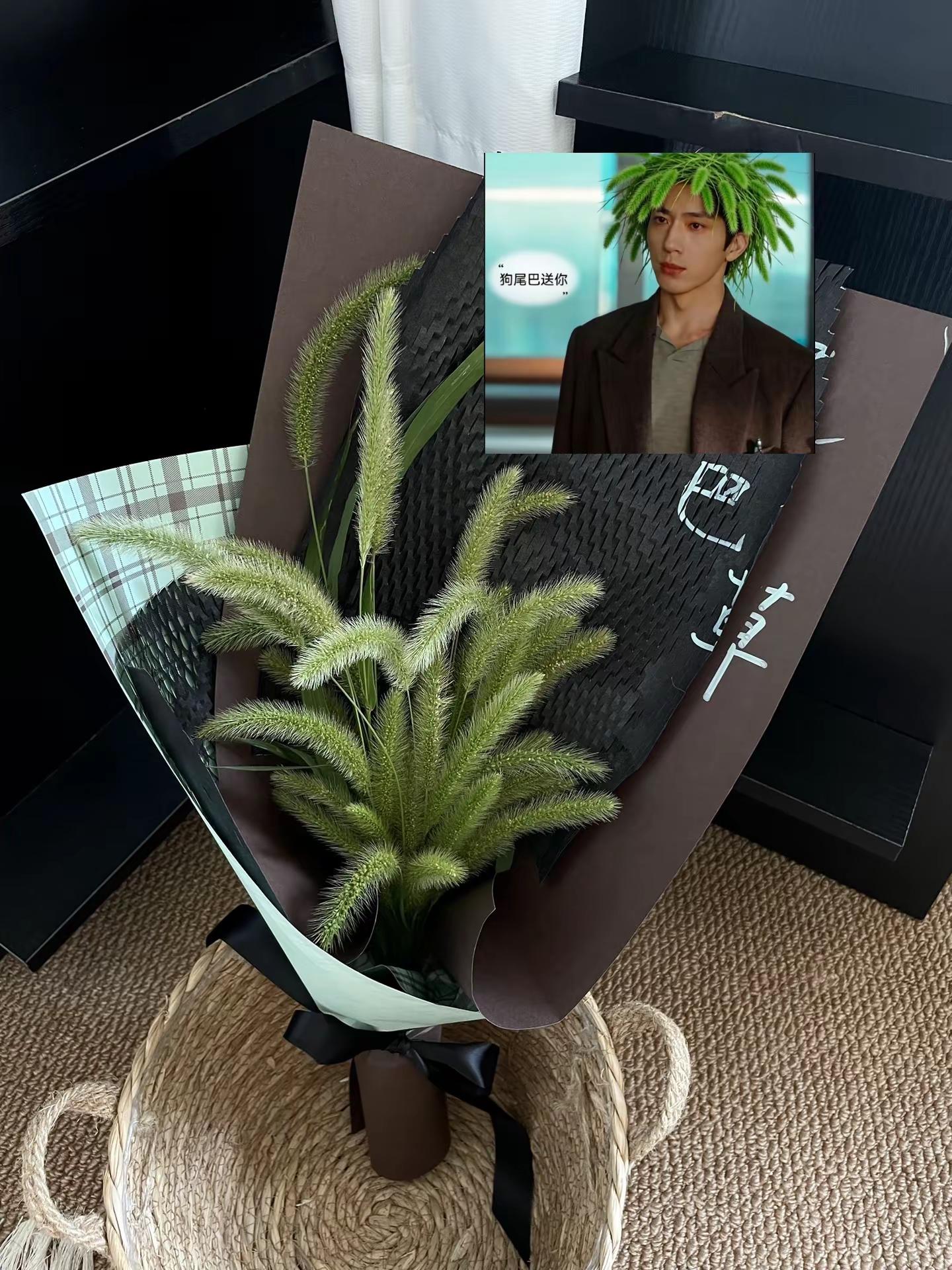 栾念，嘴硬换来的狗尾巴草喜欢吗狗尾草花束 早春晴朗