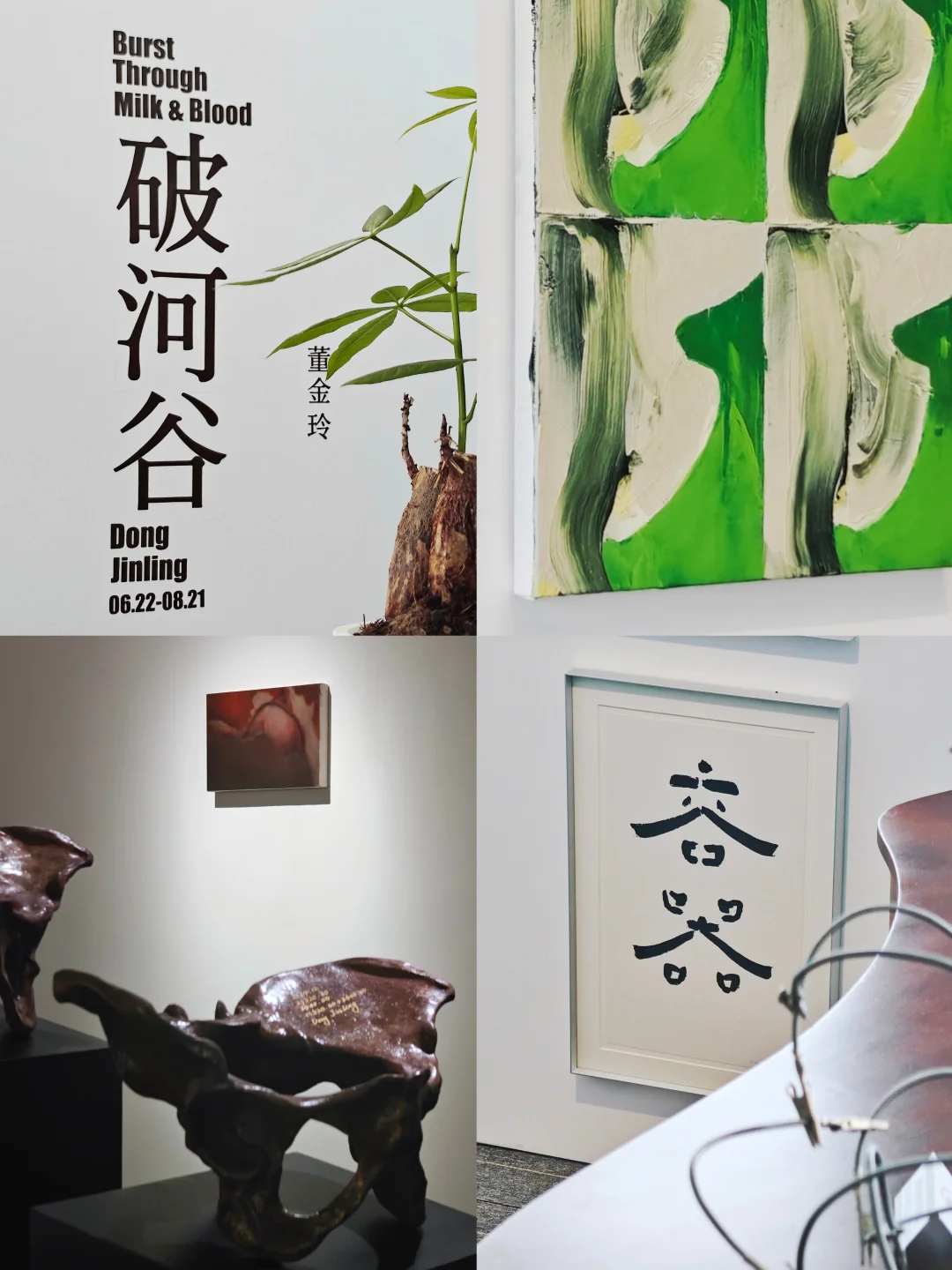 午休逛展推荐｜避开人类中心主义陷阱