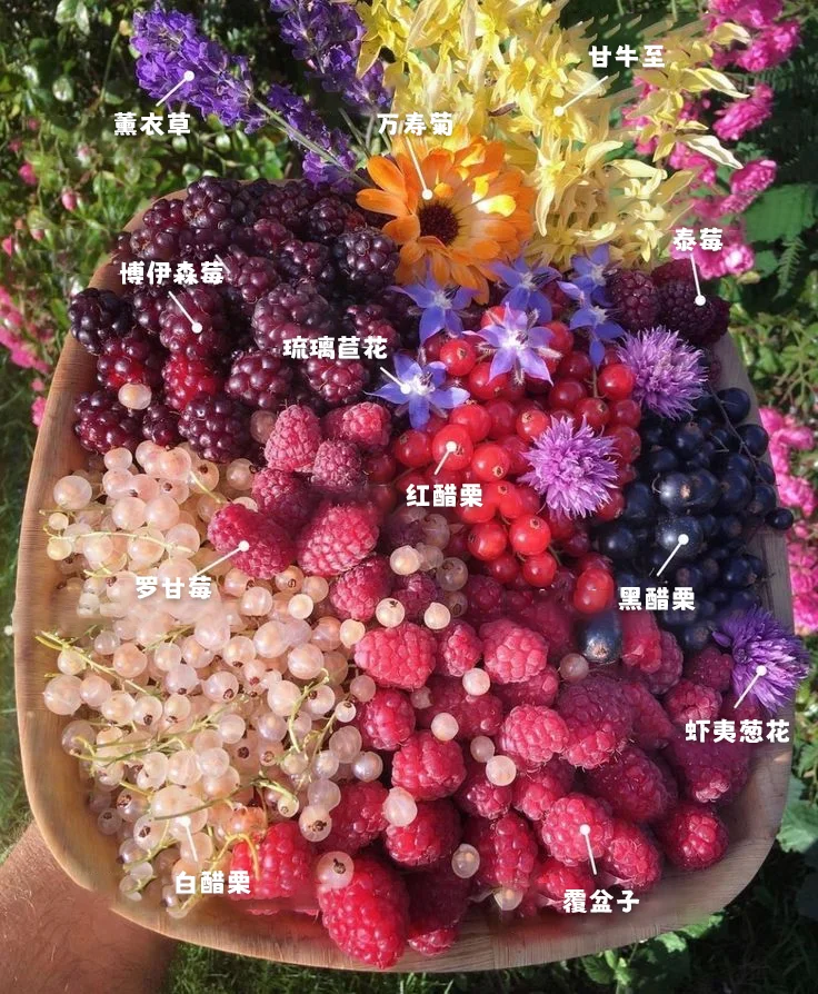 秋天的收获，满满的一车果实