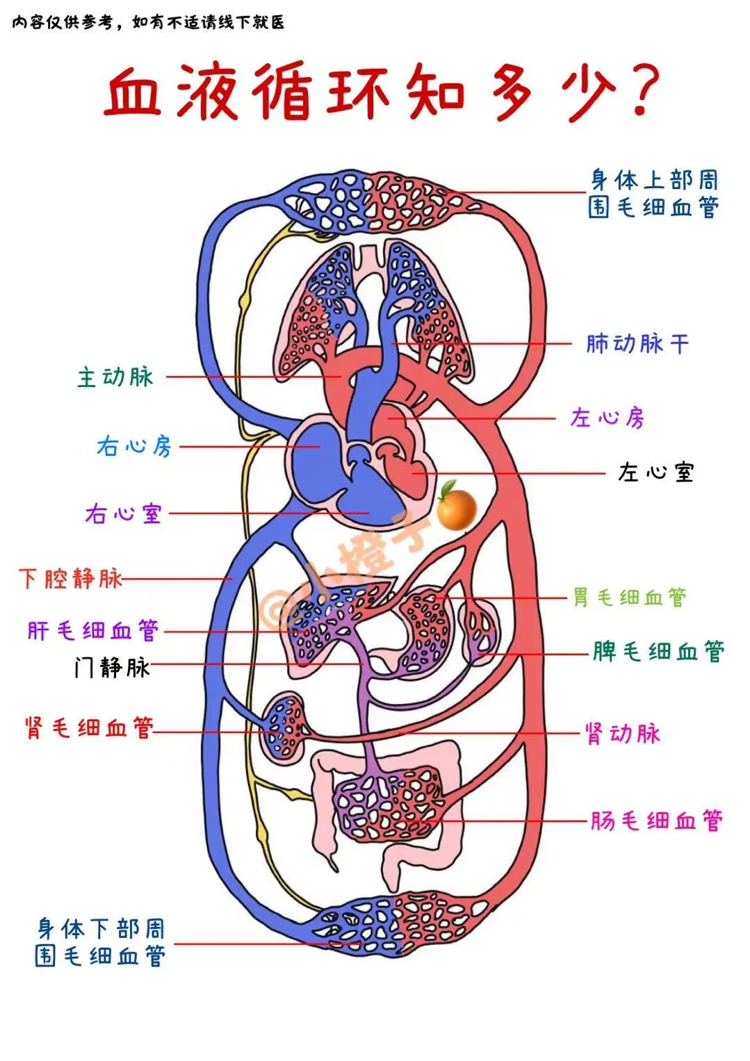 血脂异常别慌‼️这份自救指南手把手教你 ✅