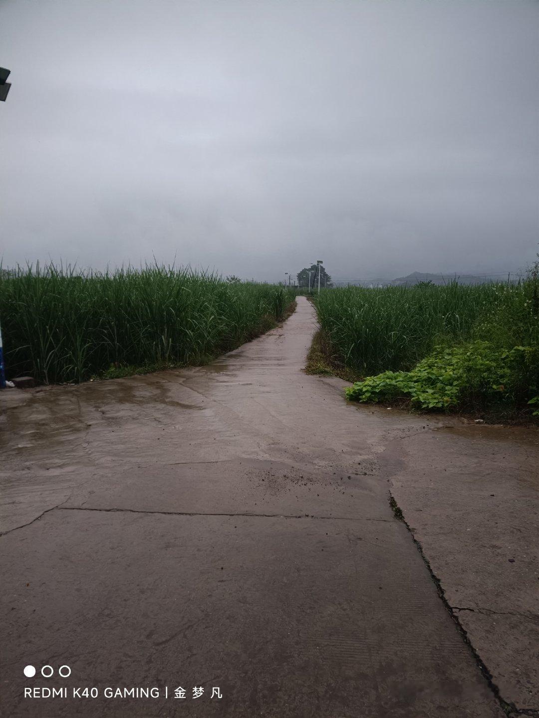 一大早冒雨下南宁也不错哇 [嘻嘻]

#红米手机随手拍# [下雨]  ​