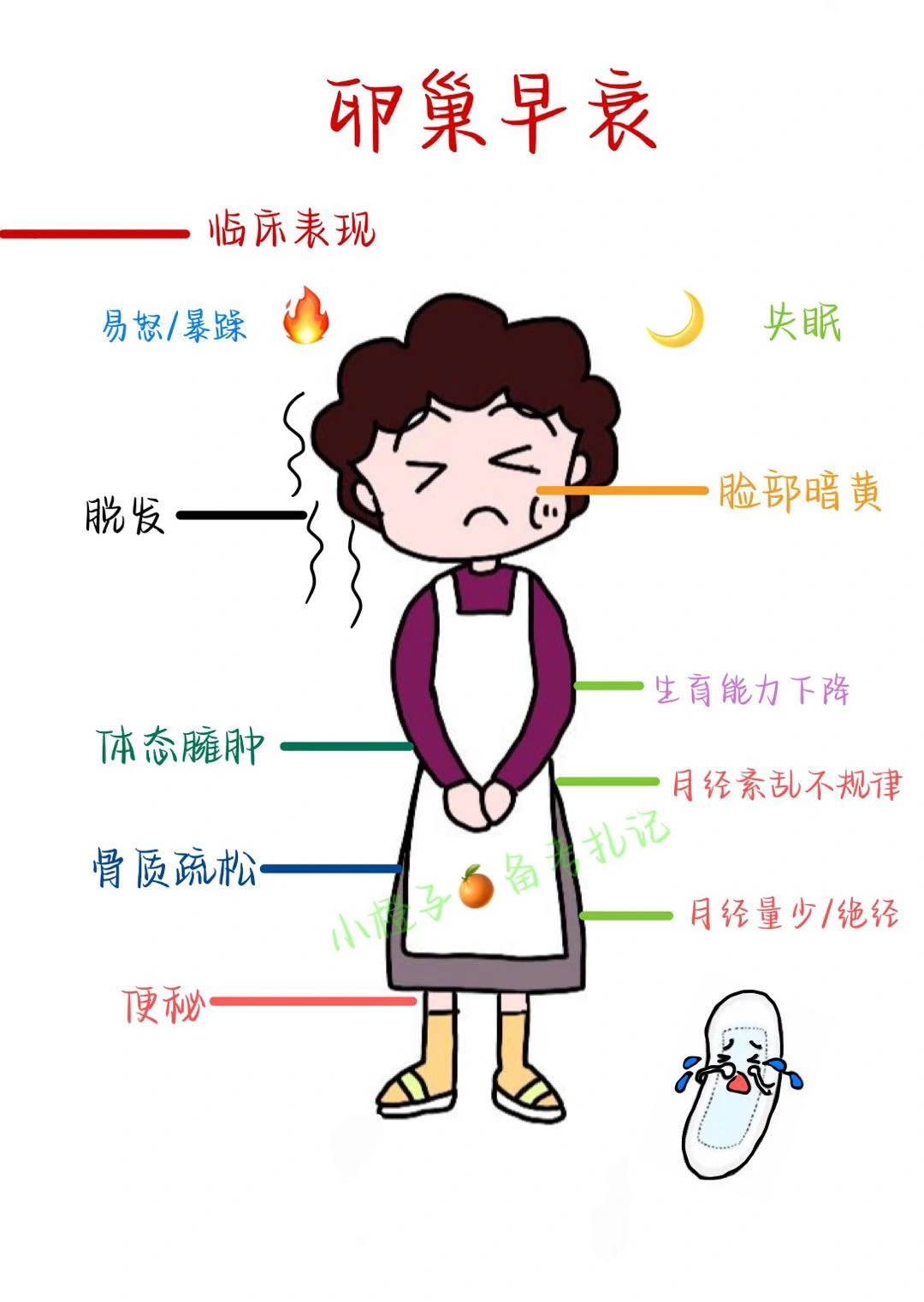 月经少？易怒？老得快？原来是卵巢早衰！