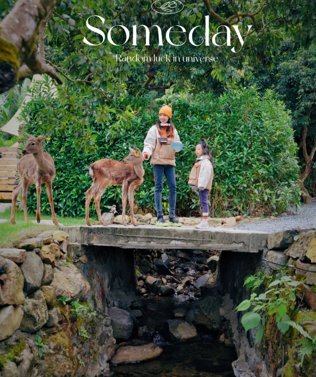 围炉煮茶，山里帐篷，这个露营我装到了