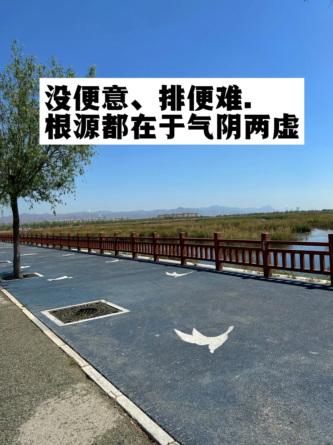 没便意、排便难，根源都在于气阴两虚！