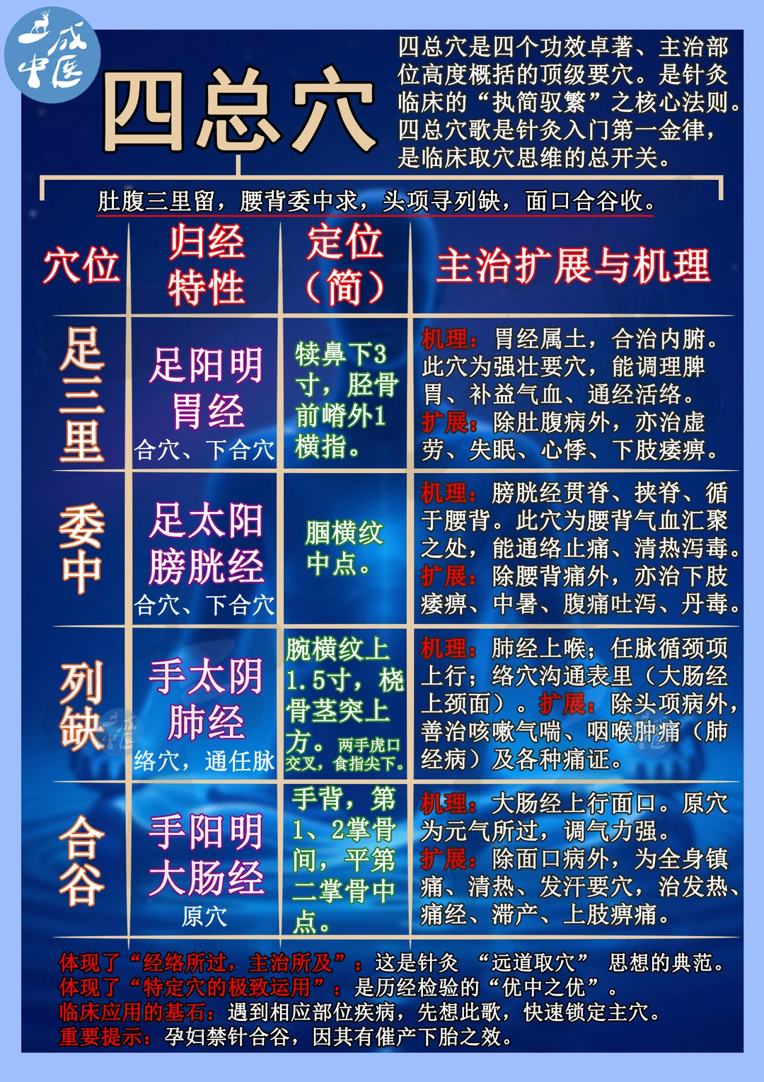 四总穴老祖宗的救命穴，不舒服就按这里🌟