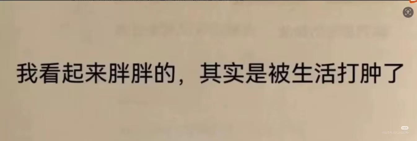 我看起来胖胖的 ​​​