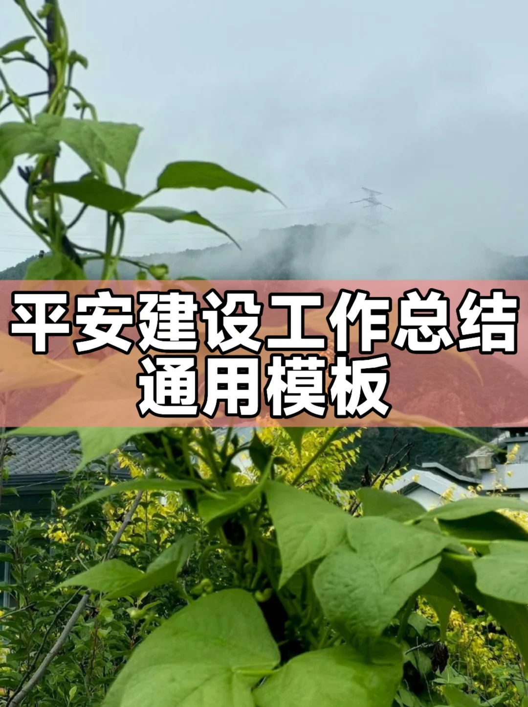 体制内：平安建设工作总结通用模板
