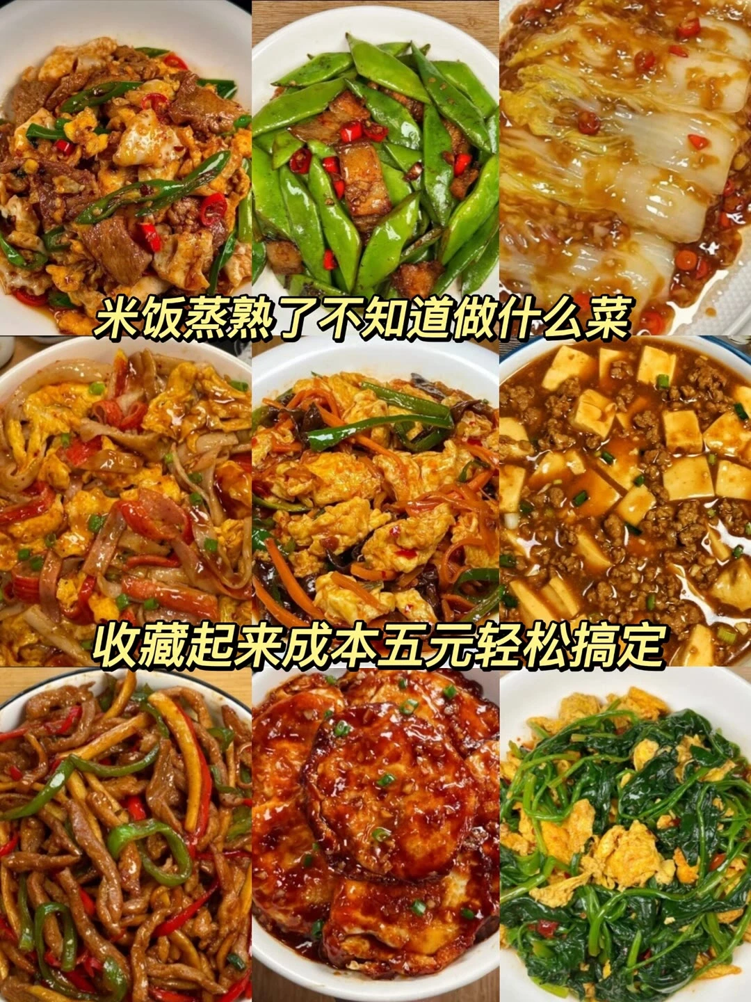 九款家常菜