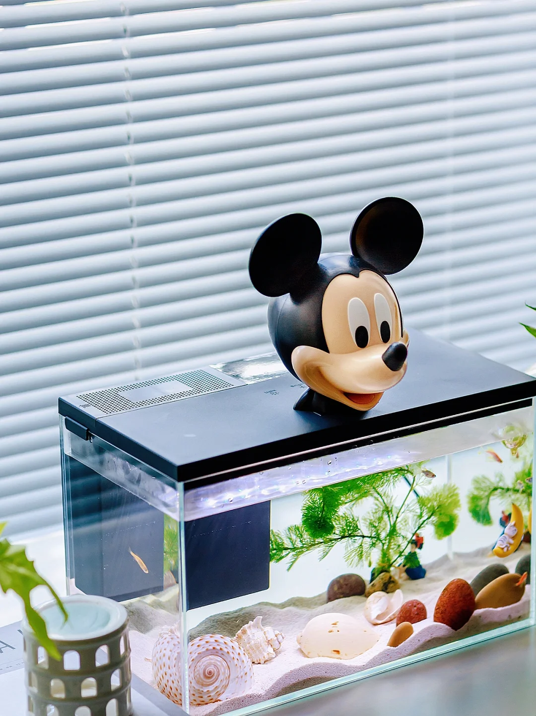 一步到位的智能鱼缸太适合家居养鱼啦🐟