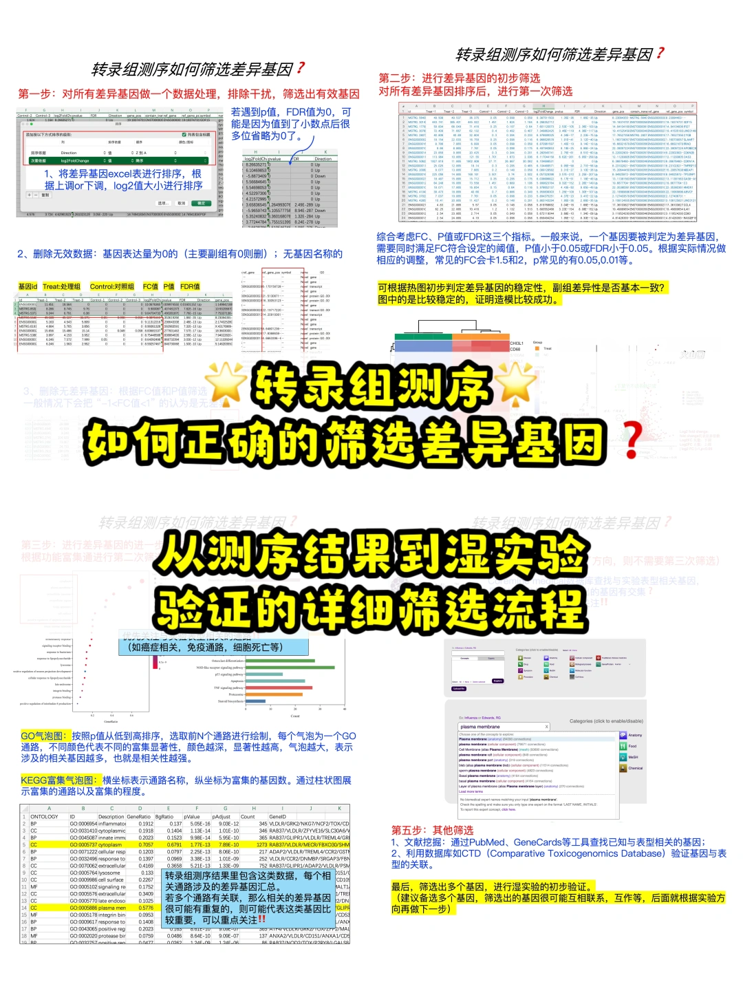 转录组测序，那么多差异基因应该怎么筛选❓