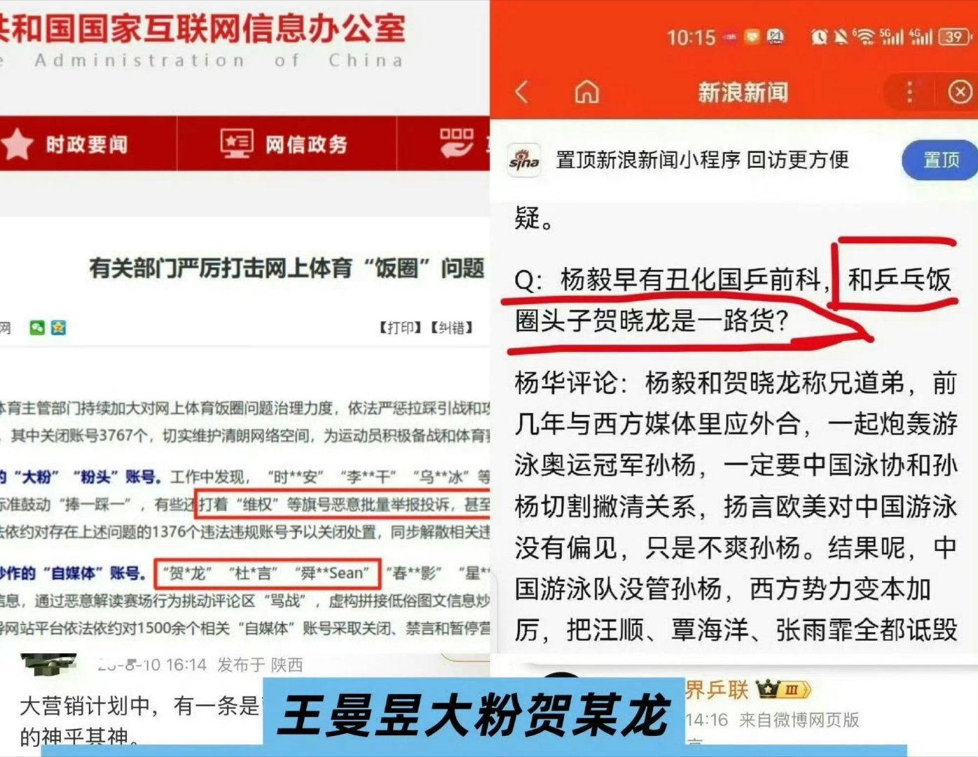 #贺晓龙希望孙颖莎自信#贺晓龙是谁？？？请看👇🏻👇🏻👇🏻 ​