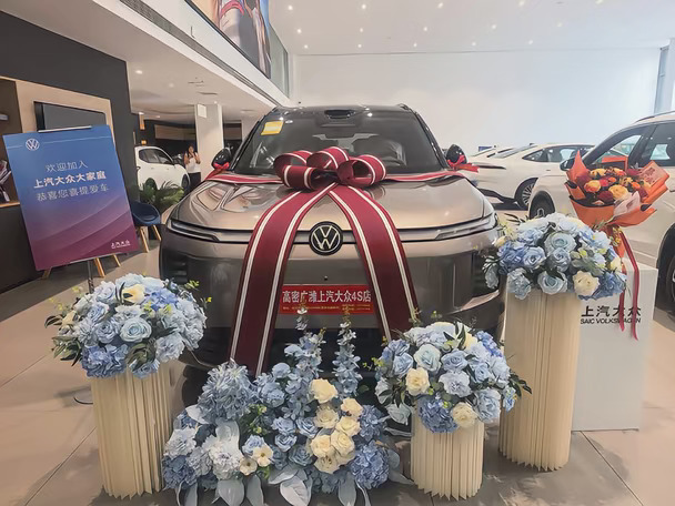 想看看你们的上汽大众9X 🚗