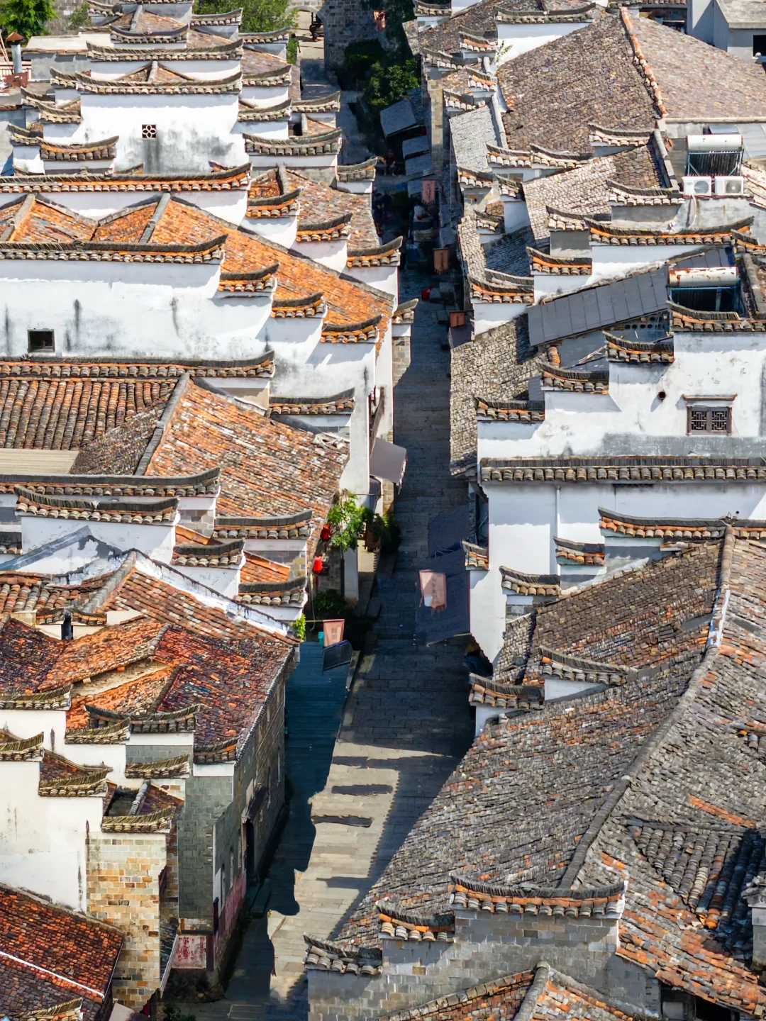 衢州江山，一个被严重低估的宝藏小城❗️❗️