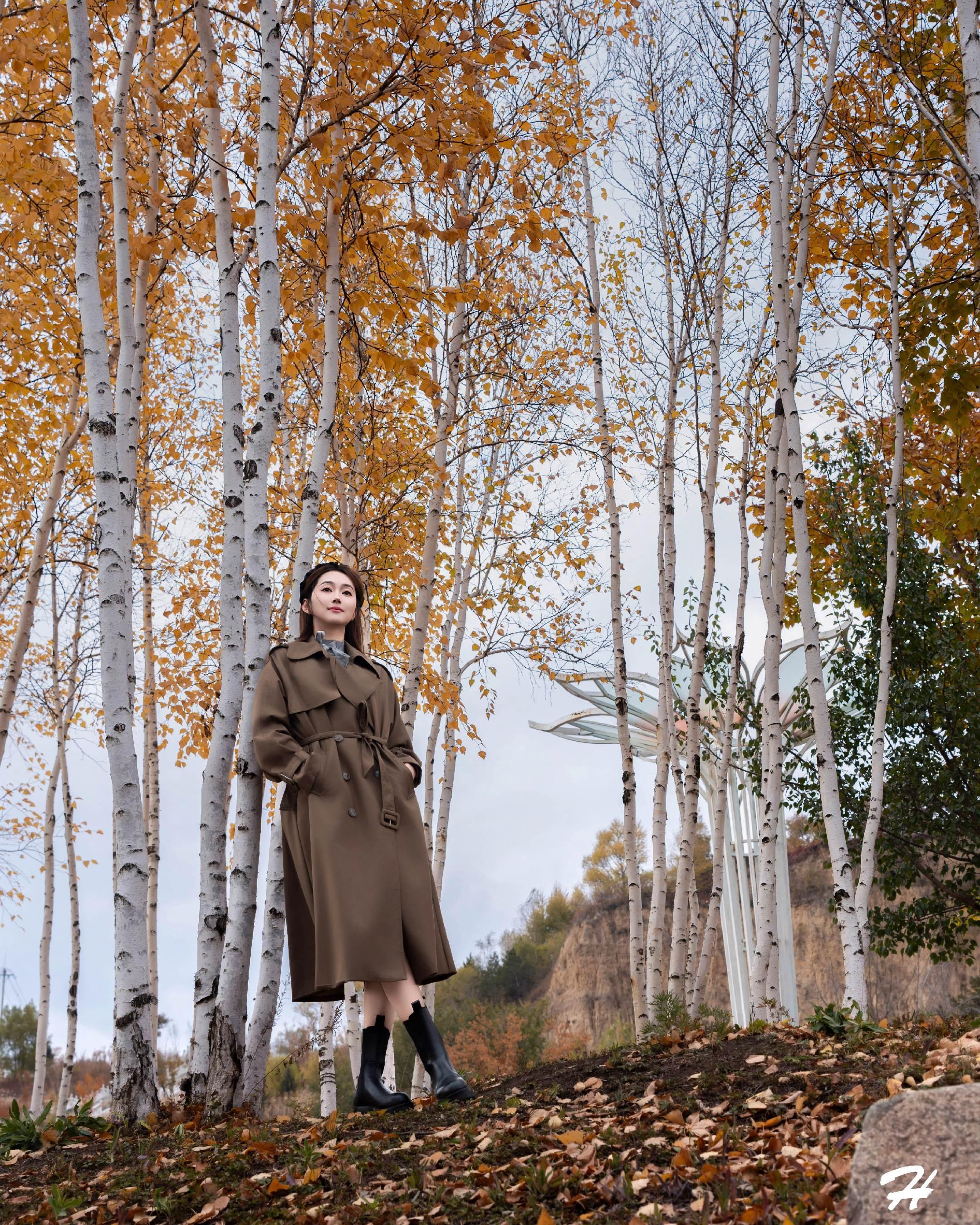 美女在白桦与落叶之间，藏着秋日的松弛感