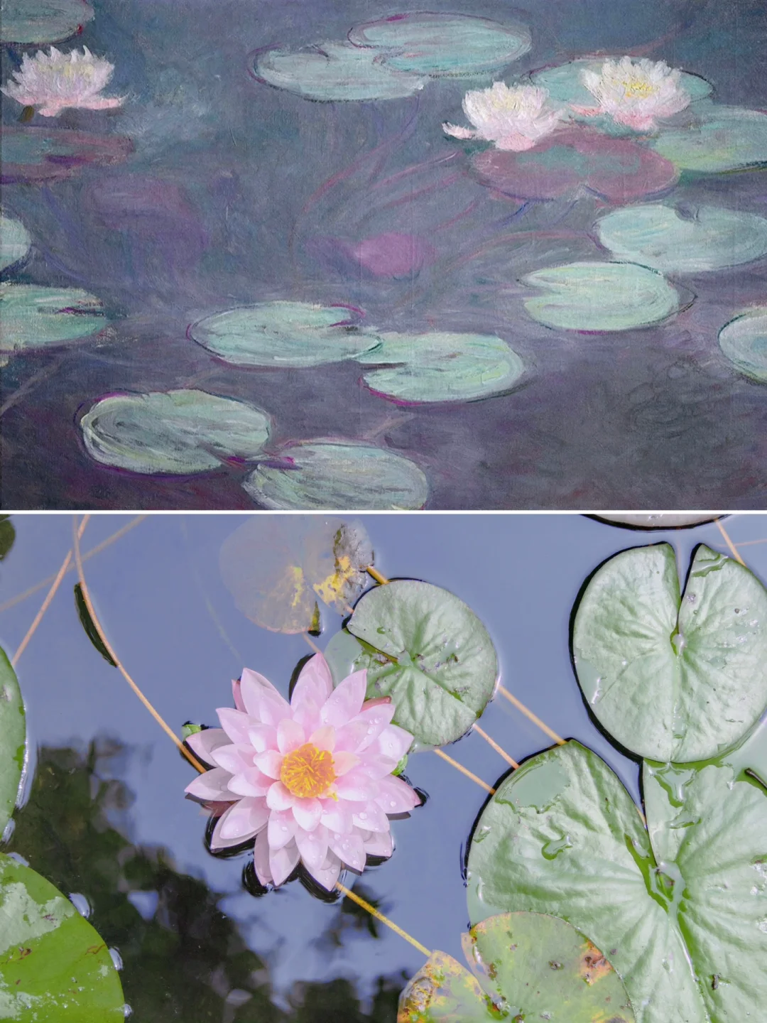 模仿100遍莫奈调色，也不如你亲自来看一眼！