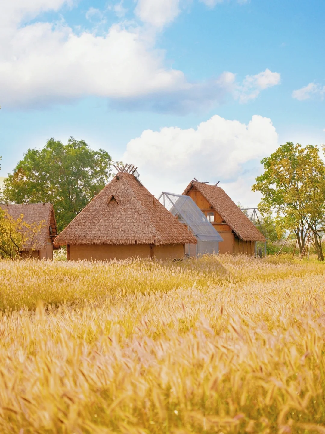 《关于我在杭州良渚闯进了宫崎骏秋日童话》