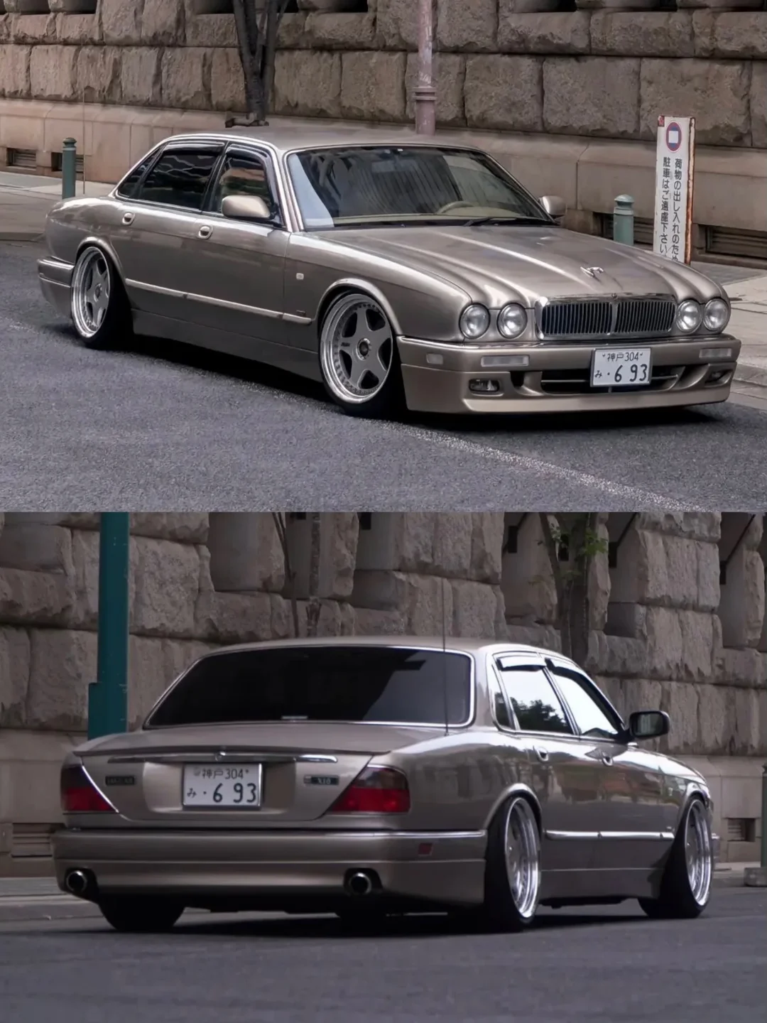 Jaguar 美洲豹