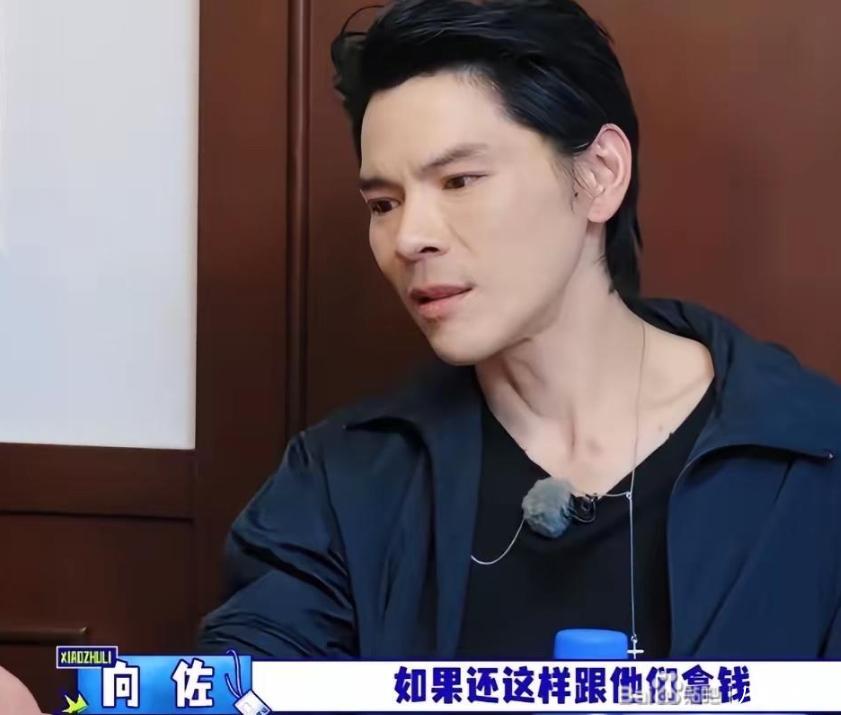 向佐在《大哥小助理》里，说了句挺不像“富二代”会说的话。
“我爸78岁，快80了！我妈70岁了！如果我跟我姐、我弟，再伸手跟他们拿钱，有意义吗？没意义！”
这期是胡军和李乃文给他当助理。这节目的设定本身就有点反差——两位五十往上的前辈组成“助理团”，每期给一位年轻艺人当“一日助理”，从接 ​