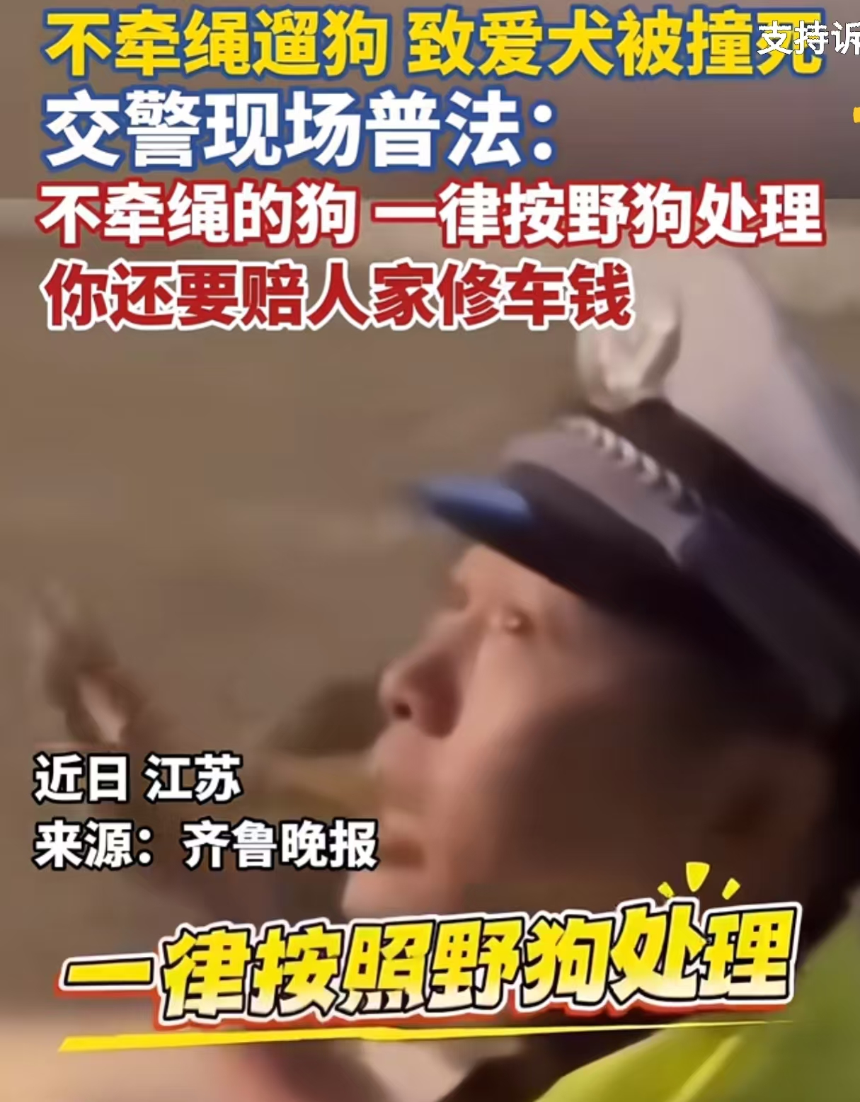 网上传得很热闹。
说压了白压。
有说法称出了新法令，不牵绳的狗被撞活该，车主还能找狗主要赔偿，甚至说没绳的狗一律按野狗处理，这些话听着解气，其实传走了样。

查了下公开判决，真实规则是按过错分责，狗主没牵绳担主责，司机要是有超速、疏于观察这些毛病，照样担相应责任，不是一刀切。至于无绳狗按野狗处理的说