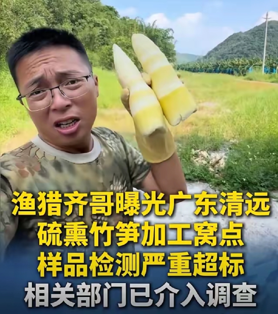 都说民以食为天，可现在食品安全，反倒要经常要靠老百姓自己去发现问题。
从福建泡药杨梅，到河北张家口的甲醛白菜，再到最近清远被曝光的硫磺熏麻竹笋，一桩接着一桩。

曝光这些黑作坊的，不是常规抽检，而是博主暗访取证。

清远这个硫磺笋窝点居然藏在山沟里，一晚就能熏好一批笋，二氧化硫超标几十倍，熏完看着白