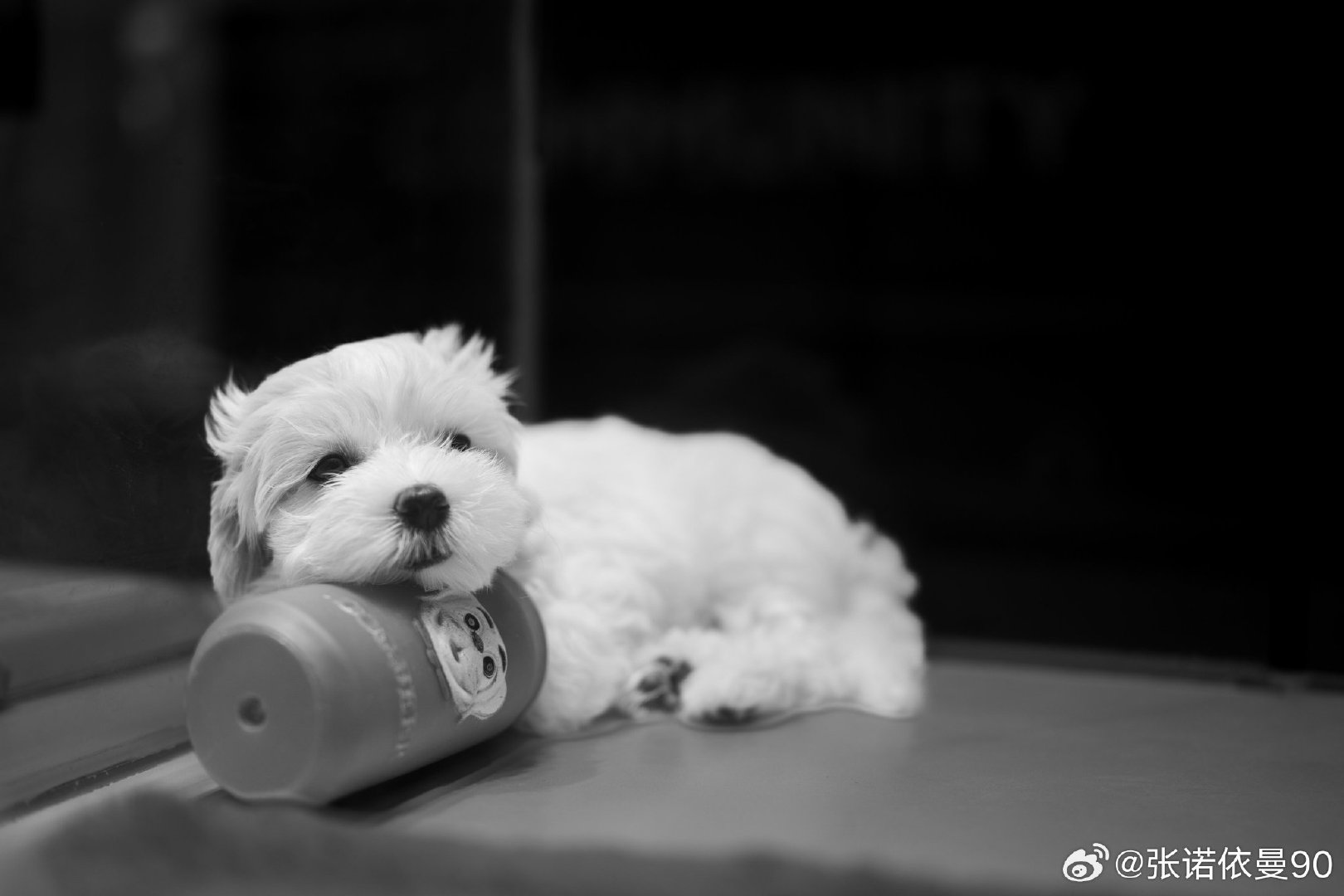 #我国灵活就业人员规模已超过2亿人# 灵活就业，对于统计来说，主要偏重就业，真实的失业问题并非最重要。对于个人而言，主要偏重灵活，主打一个自由开心，能不能赚到钱，那就随缘吧。 ​