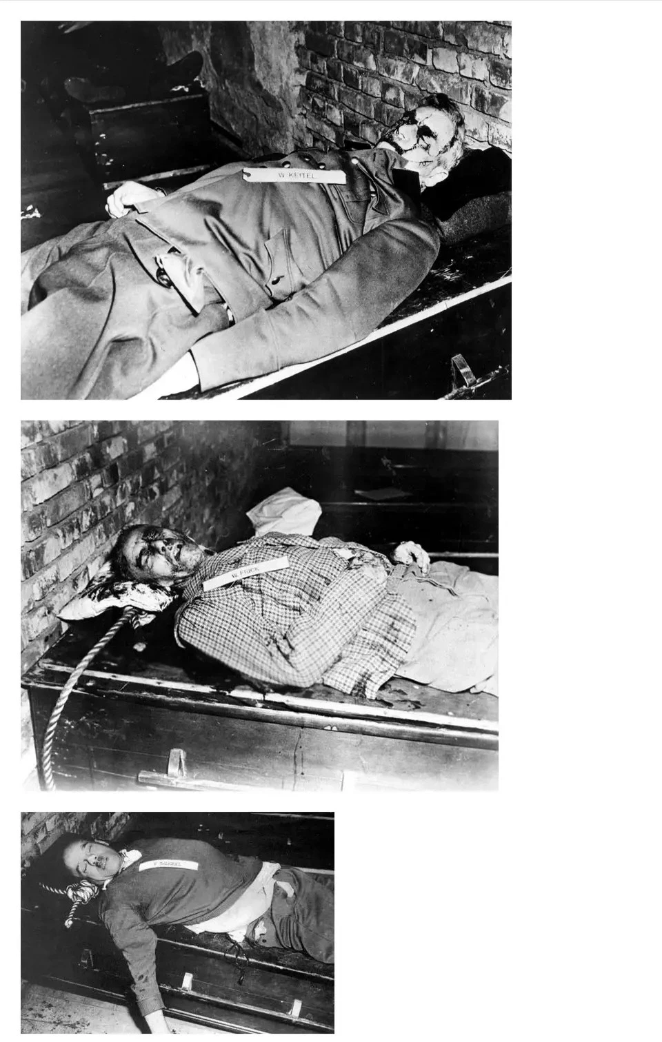 二战魔头希姆莱是怎么死的？看完你就知道了