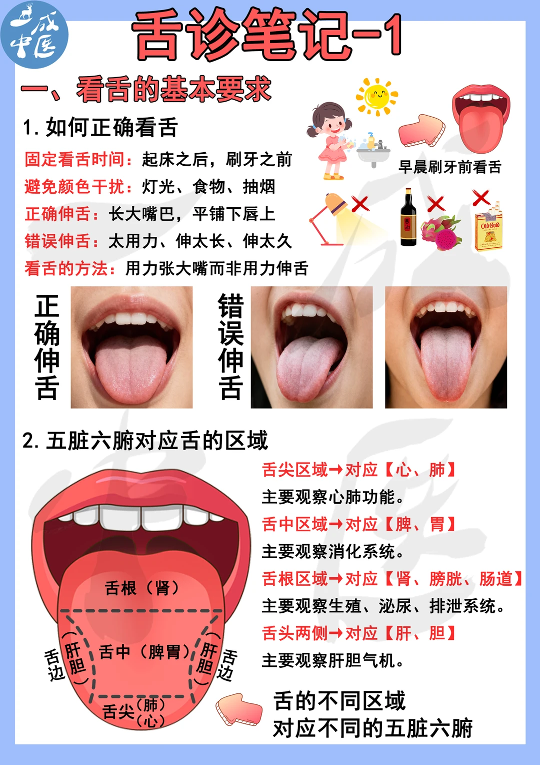 舌诊笔记-看舌的基本要求！1-3页