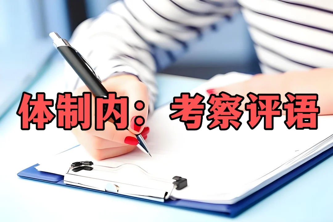 体制内：考察评语