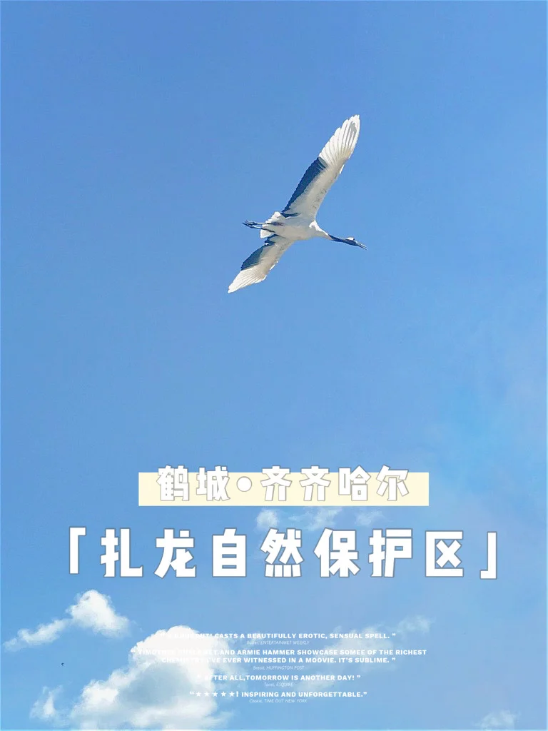 【旅游必打卡景点】鹤城齐齐哈尔扎龙保护区