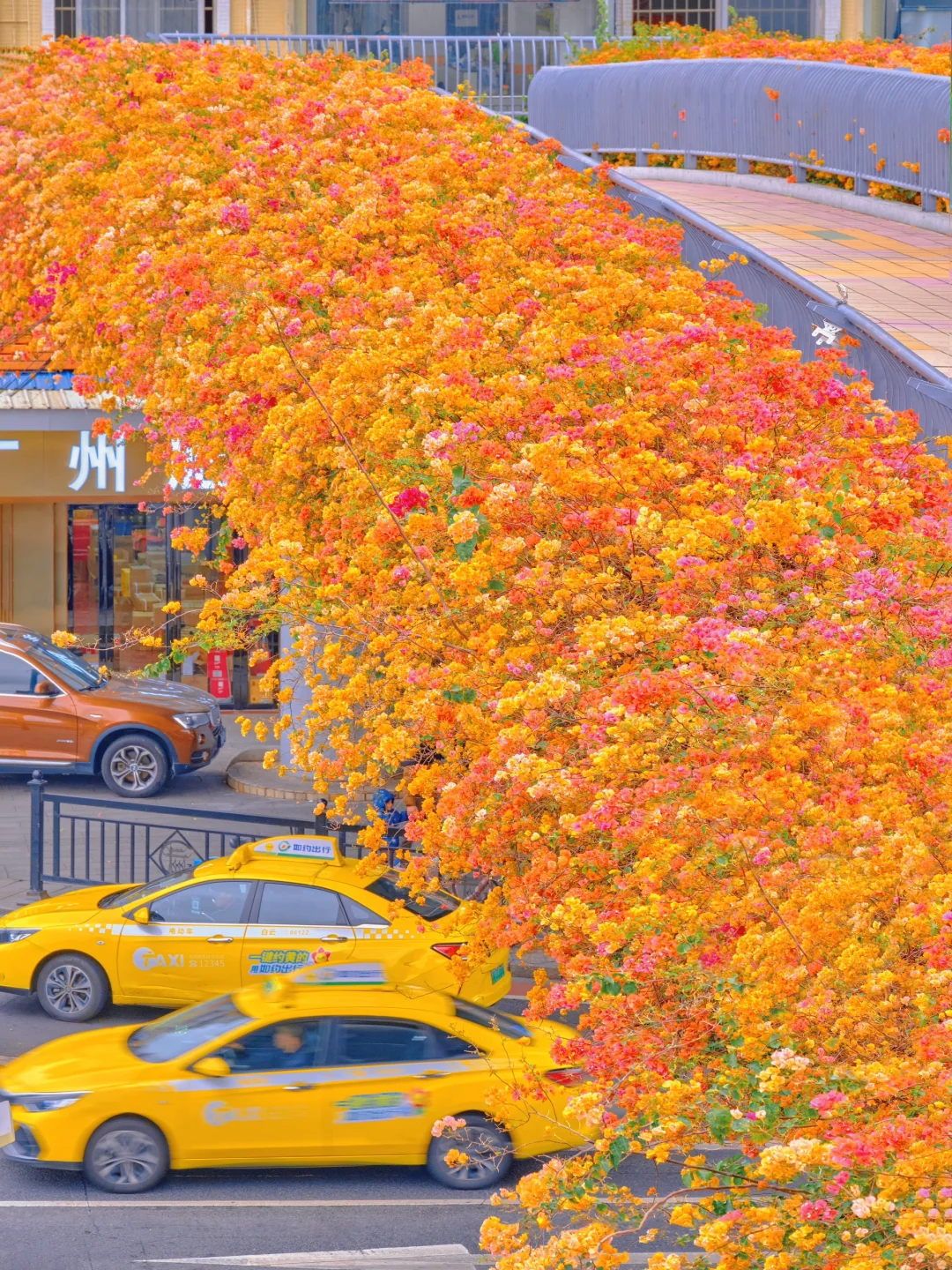 广州别太离谱❗️一座天桥而已～至于这么美吗❓