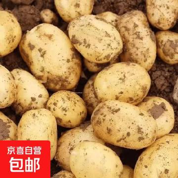 領京虹可抵扣 <br />      <br />点右下角領京东.虹包...