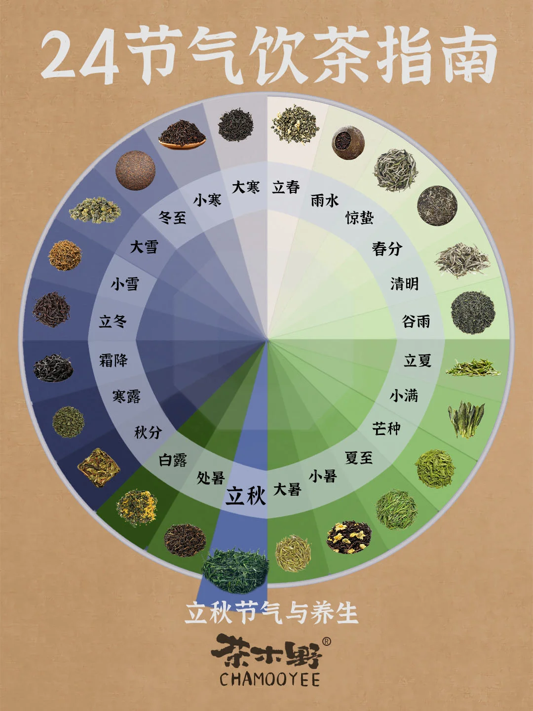 节气与养生丨茶友必知🔥24节气饮茶指南