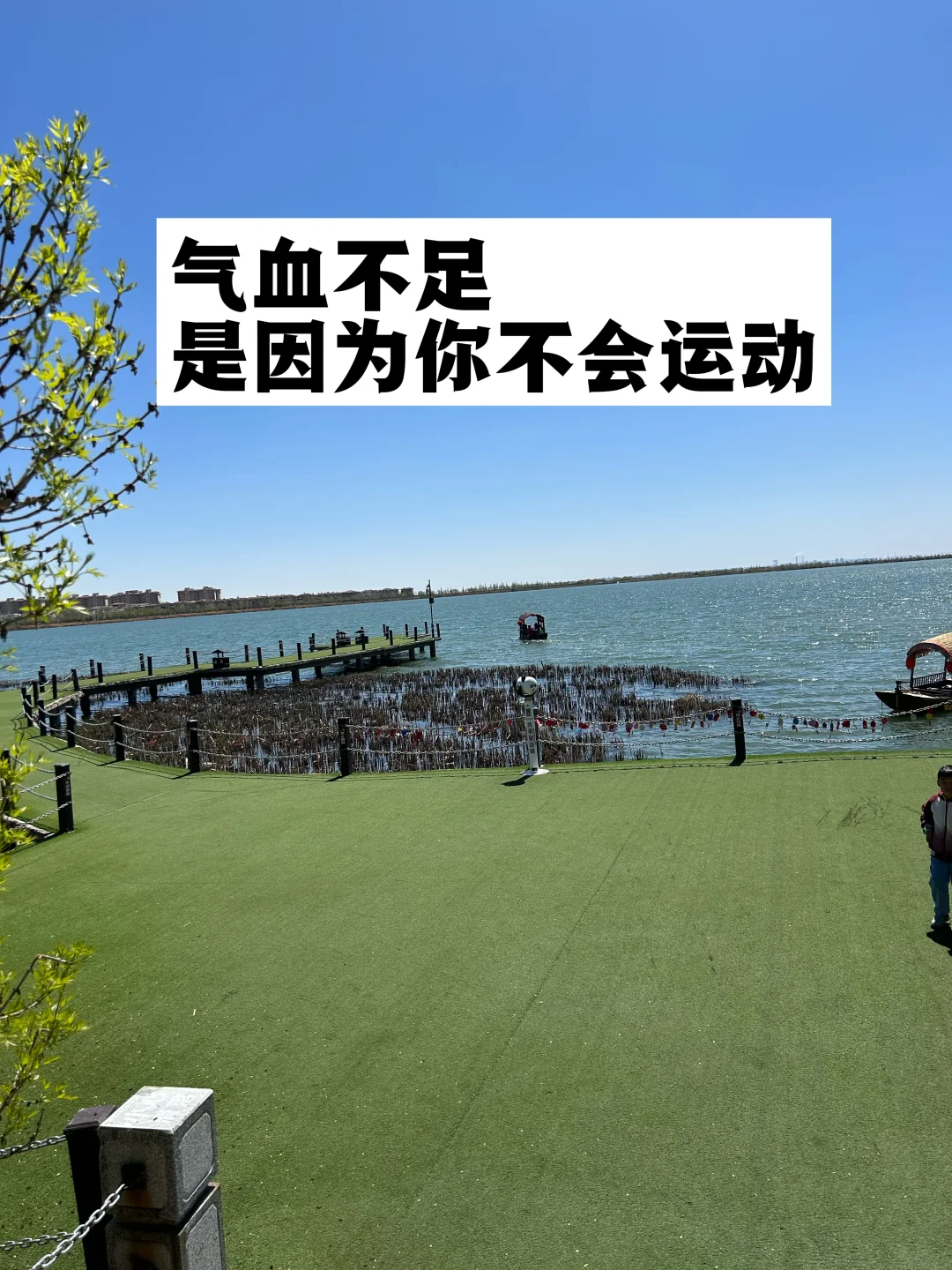 气血不足，是因为你不会运动.