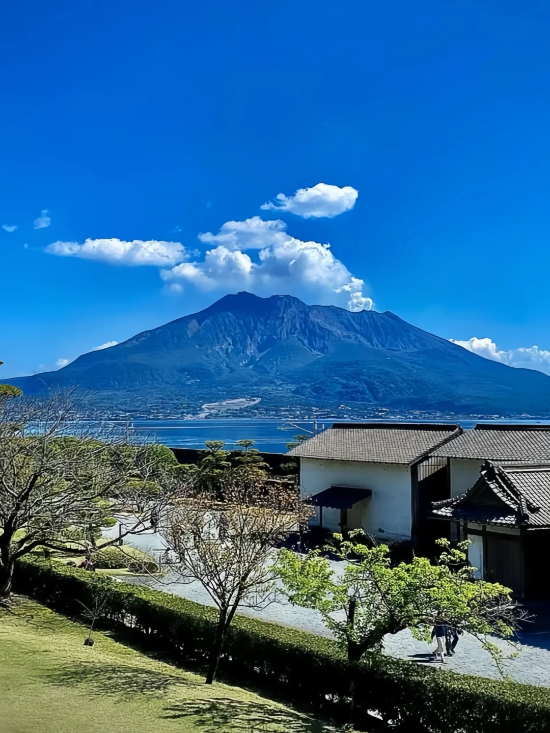 鹿儿岛也太太太让人上头了吧！