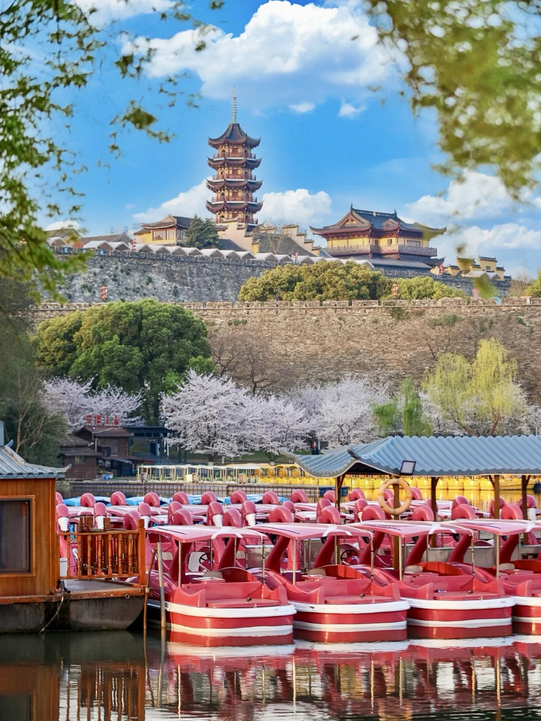 去过10次南京，吐血总结的春日赏花路线❗️