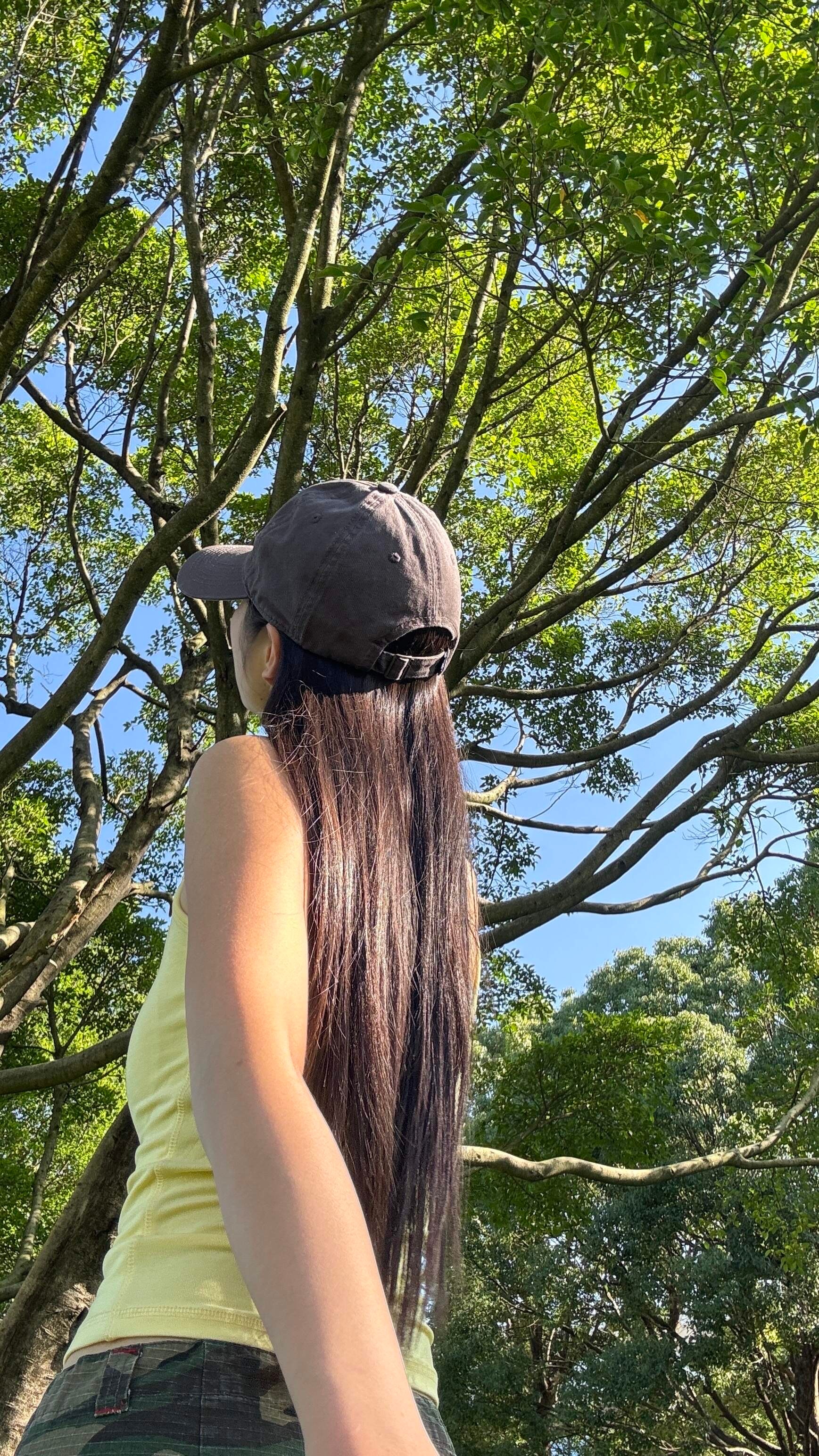 碰到一棵喜欢的🌳，那就自己记录自己吧📷 ​​​