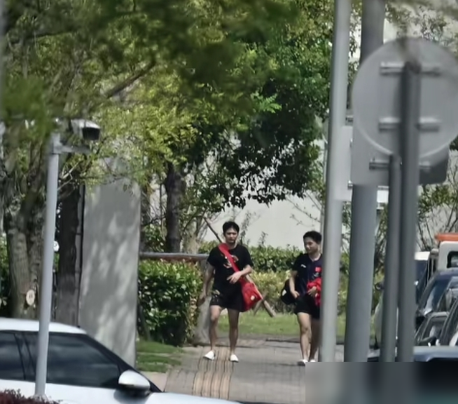 林诗栋暴瘦的真相，根本不是在闭关憋大招。
9月4日封训画面流出，他肉眼可见地瘦了一圈。球迷还在狂欢，指望他出山后横扫千军。
结果紧接着9月5日，官方直接通报：林诗栋因伤退赛。
之前他在场上脸色煞白，捂胸口直喘气，网传是心脏病。医疗团队实锤了，这是长期死磕，把右侧肩袖肌腱生生磨出了严重发炎和局部