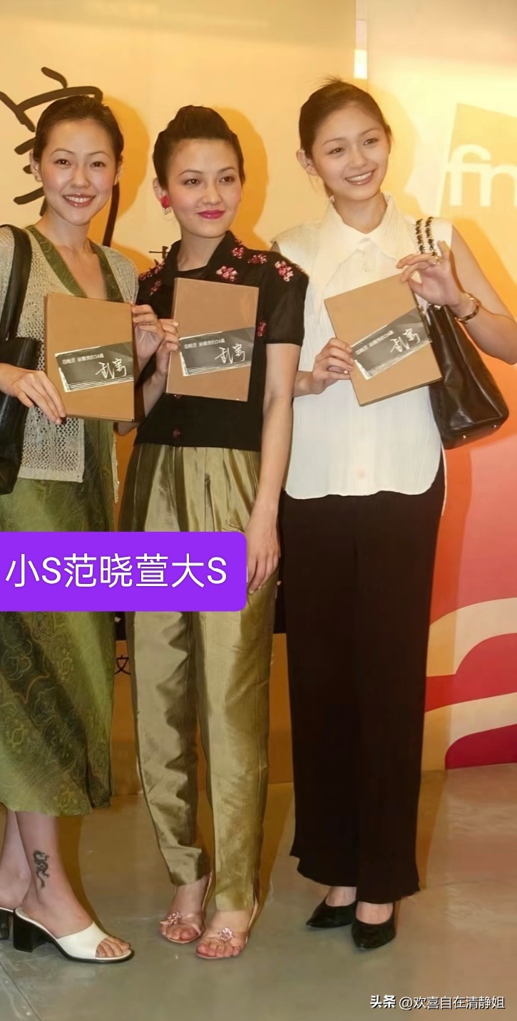 大s天生丽质容貌清秀，但是也称不上绝世美女，她的脸型没有小s那么有立体感，也没有范晓萱长得漂亮……

大s清楚自己容貌外形上的欠缺，她一心追求美，努力提升气质。

大s精心打磨自己，她真的变美了，在人群中，您会一眼认出美得闪闪发光的她……

大s是个追求完美的人，
一生爱美注重体面，
她烟花般的璀璨