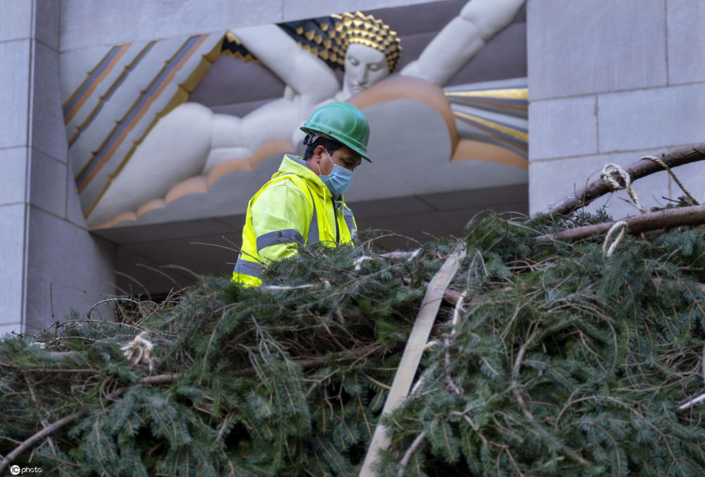 美國紐約洛克菲勒中心年度聖誕樹開始裝飾-圖3