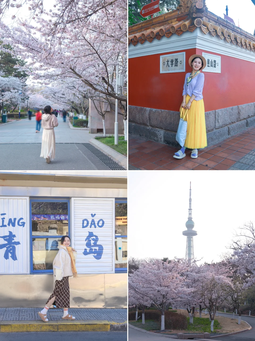 青岛赏樱路线🌸一日游带你逛遍老城区