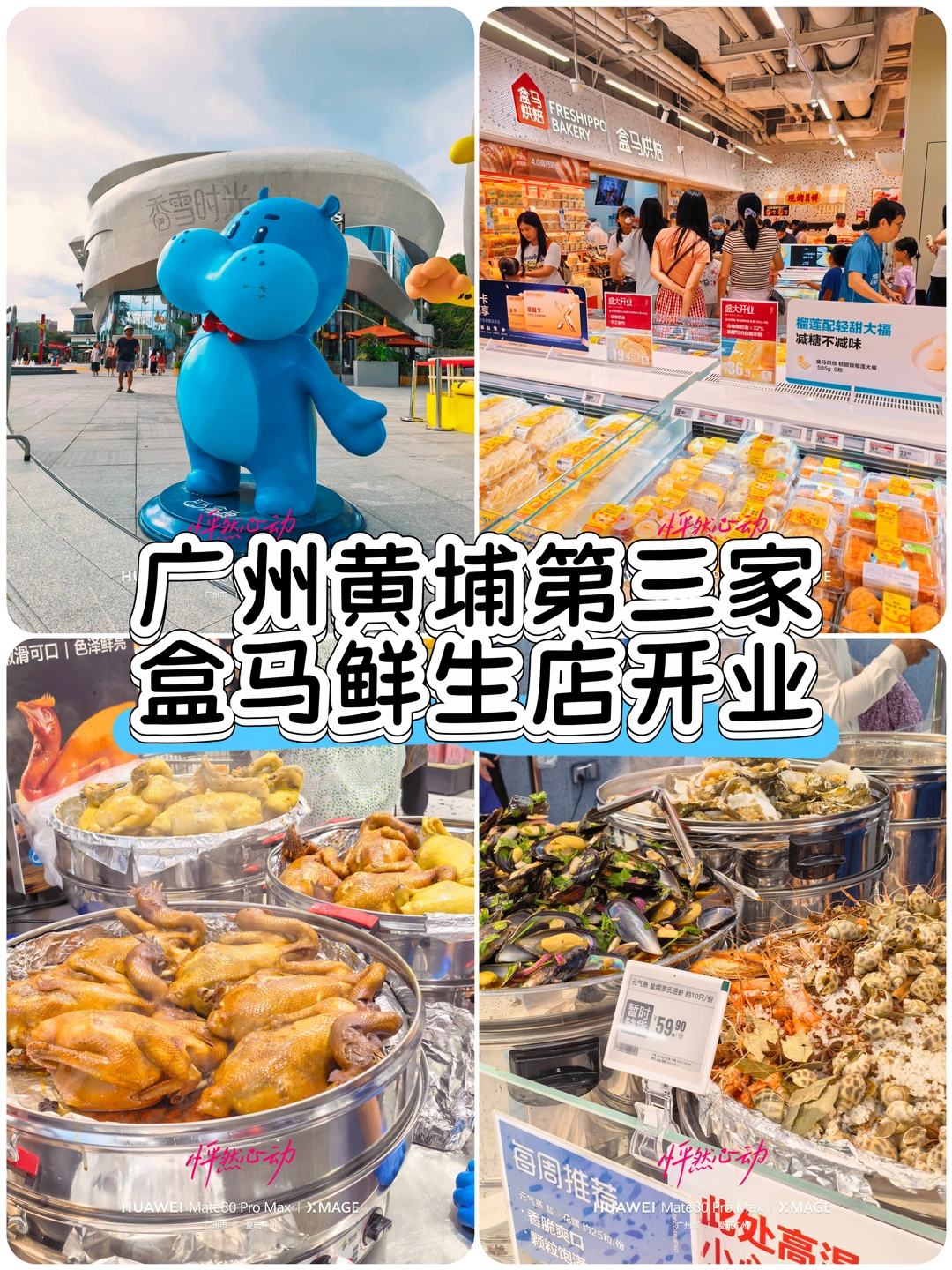 广州黄埔第三家盒马鲜生店开业