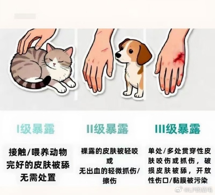 狂犬病疫苗普及到现在这种程度了还有人不去打…也该的
像我从小到大都打了四五次，除了一次真的被狗咬出血，其他只是被挠到，皮都没破，有一点点轻微痕迹，每次坚决去打疫苗。
真的不能抱有侥幸心理，因为死亡率几乎是百分百的，如果真的挨了也几乎百分百上社会新闻。不仅人没了还得社死…
 ​