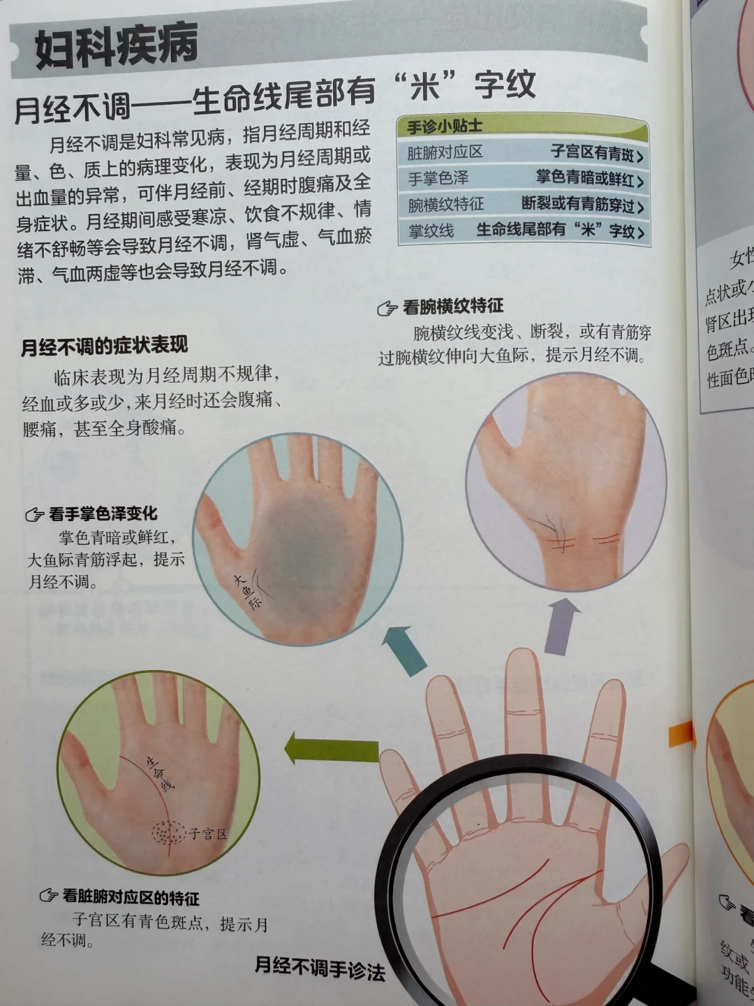 月经不调、痛经