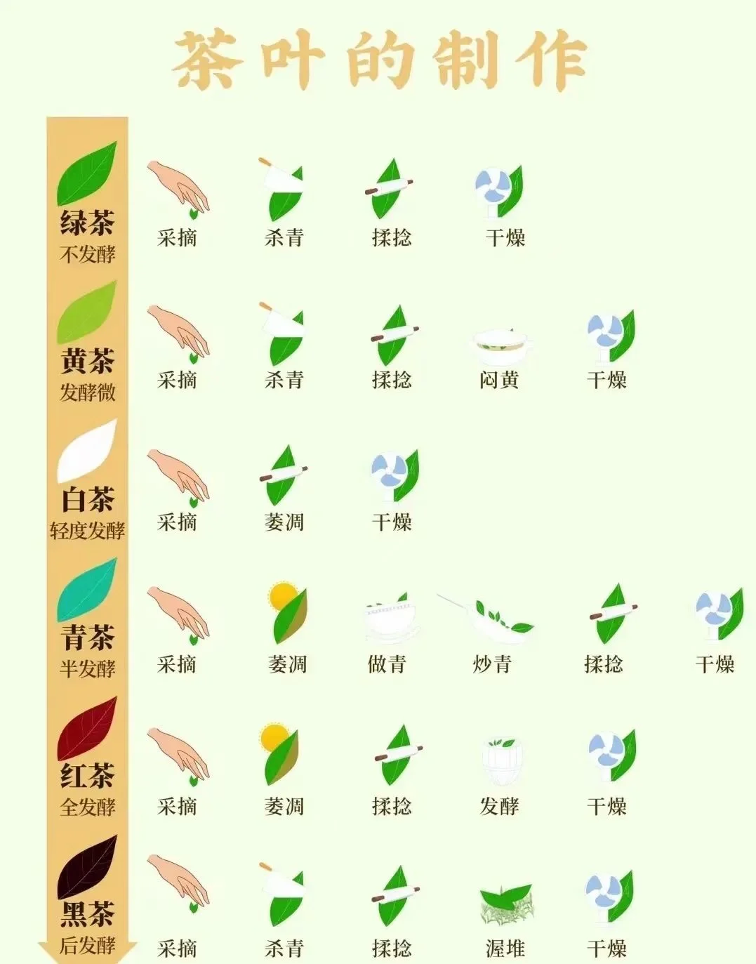 一张图了解六大茶类的制作工序，简单易懂