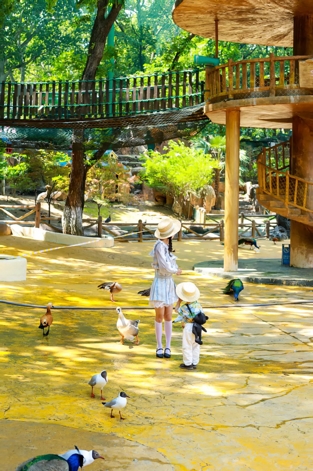 后悔才知道‼️带娃就看篇⛵️2025东湖这样玩👇