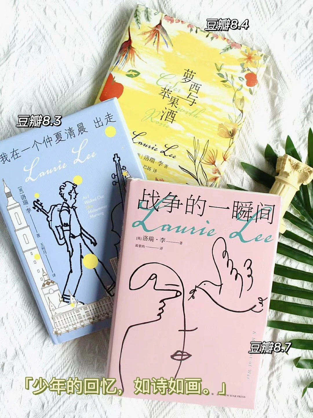 挖到一套高分神仙书！文字美极了！ 🌷