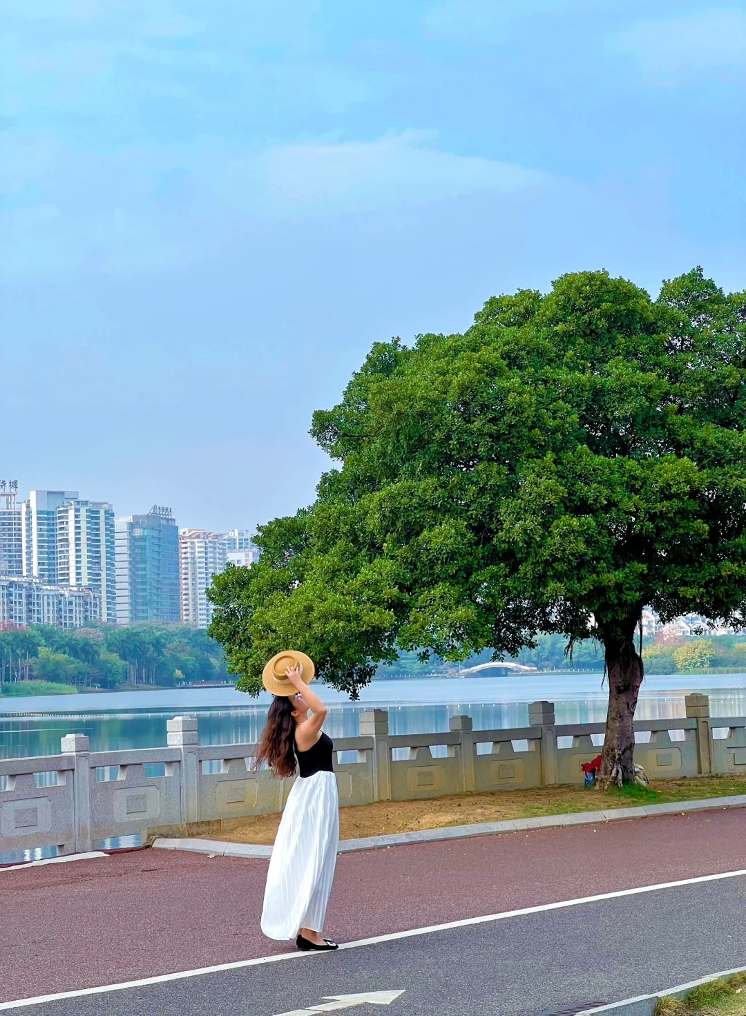 救命‼️南湖的“孤独树”真的很好出片