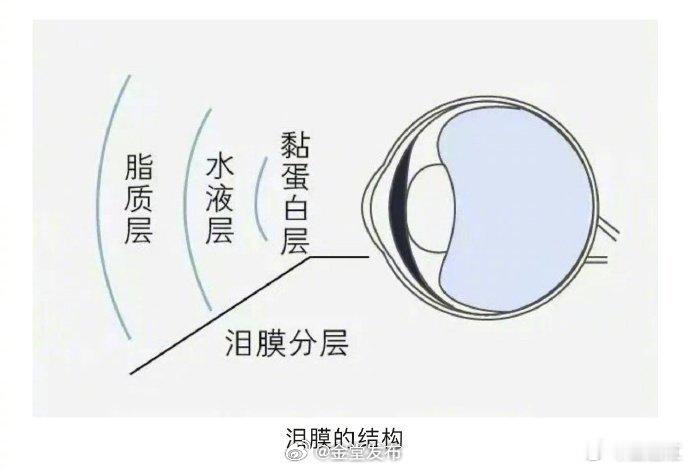 【昏暗环境下玩手机伤眼】夜晚看手机，眼睛会发生什么变化？黑暗环境下，只有手机的光照强度远远不够，看手机的距离会不由自主越来越近，眼睛聚焦到小小的屏幕上，瞳孔散大但瞳距缩短，就会看东西模糊。对于本身眼球结构就有异常的青光眼潜在患者，在黑暗环境中长时间看手机还可能诱发青光眼。另外，眼 ​