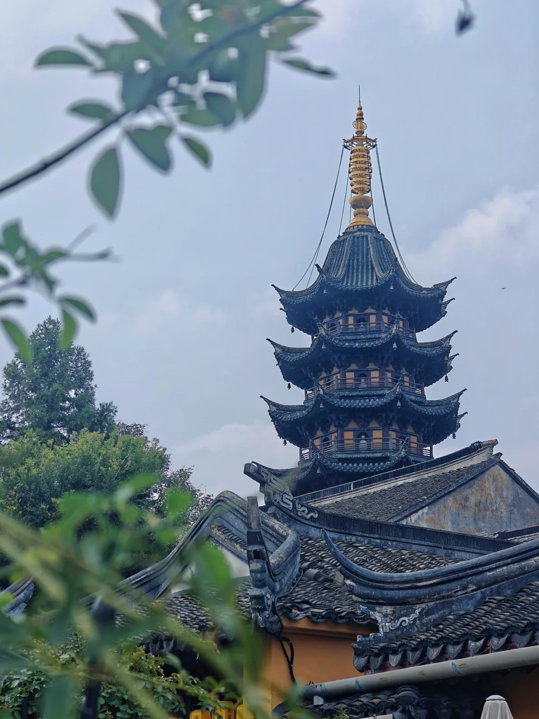 这个冷门的苏州“小山包”，竟如此有料