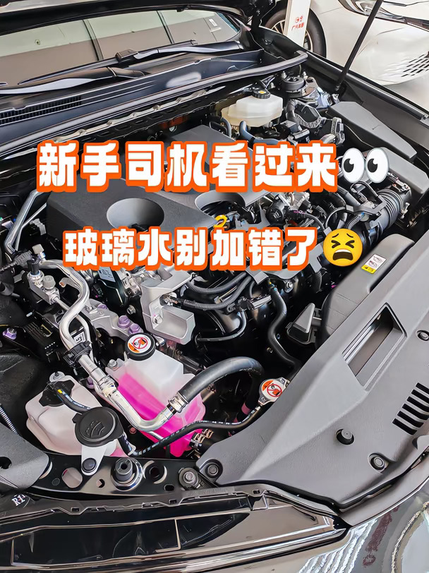 新手司机必看❗别再加错玻璃水啦😫